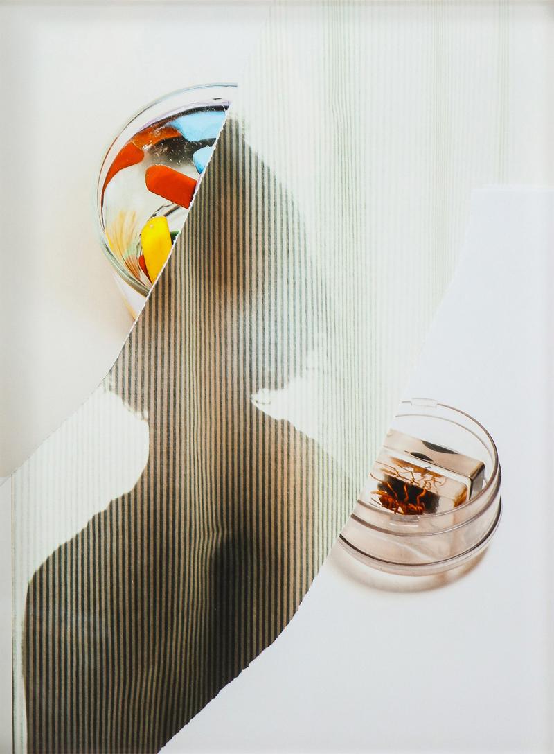 Untitled from the series Bad Prints 2019