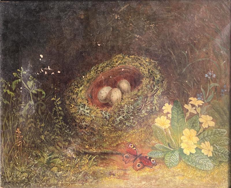 VICTORIAN STILL LIFE OF BIRDS NEST MEADOW FLOWERS AND PEACOCK BUTTERFLY