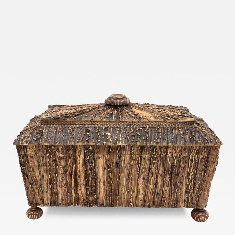 Very Rare Anglo Indian Stag Horn Tea Caddy Circa 1830