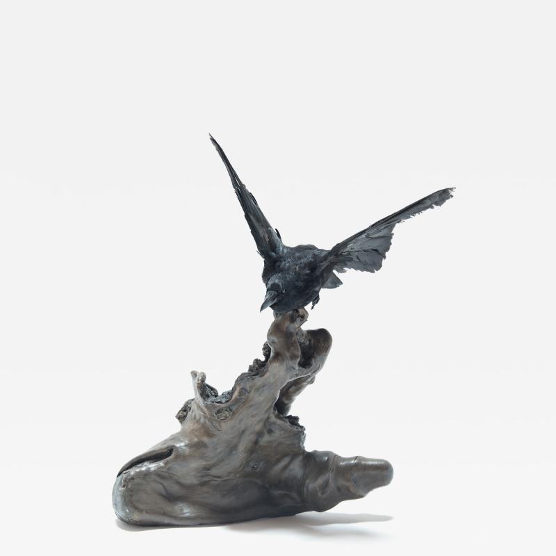 Vintage Raven Taxidermy on Root Sculpture