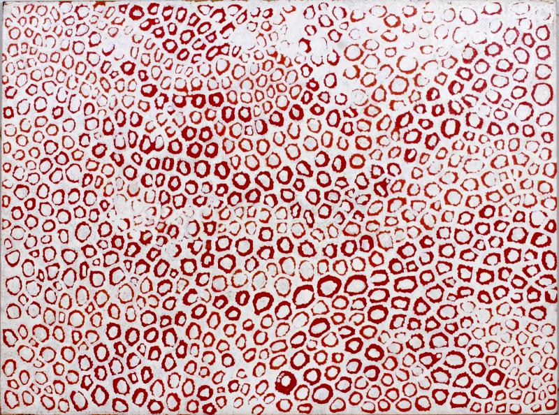 Walangkura Napanangka Contemporary Australian Aboriginal Painting by Walangkura Napanangka