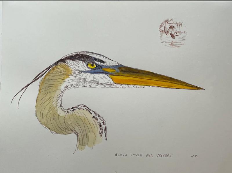 Walton Ford WALTON FORD AMERICAN B 1960 HERON STUDY FOR VESPERS 2022