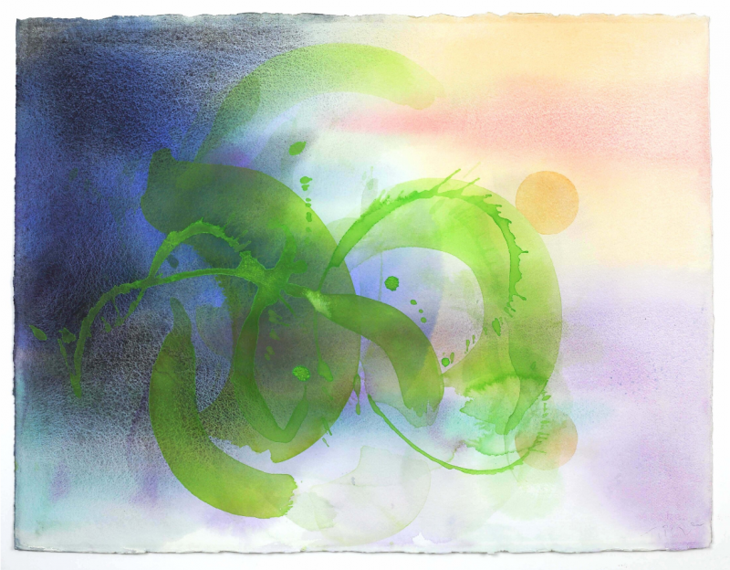 William Tillyer The Watering Place 2013