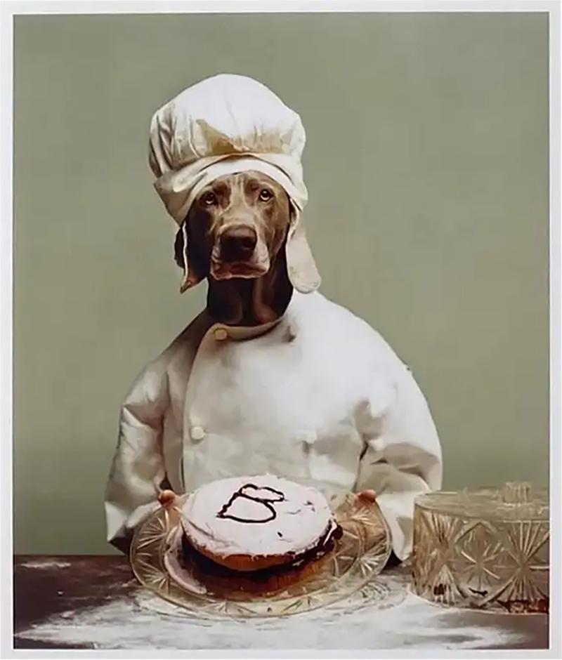 William Wegman William Wegman B is for Baker Limited Edition Photograph COA Signed Numbered