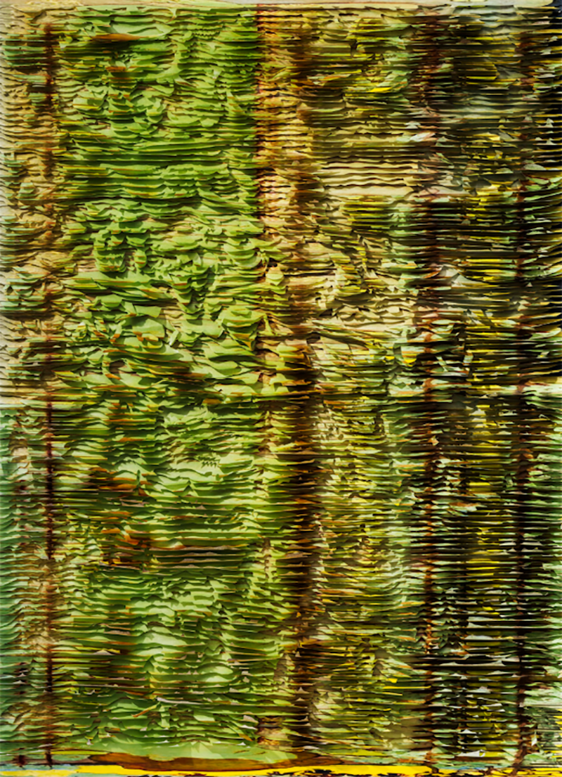 Zhang Xiaodong Life and growth in nature 0 2025