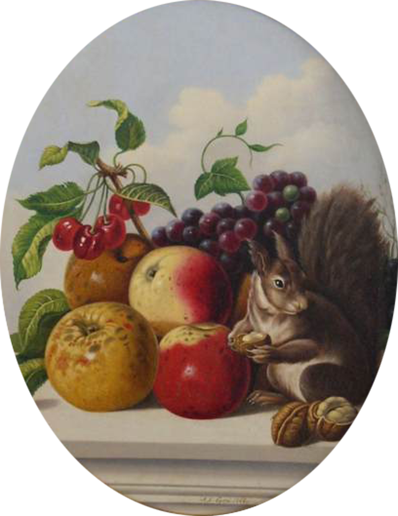 John J Eyers Still Life with Squirrel 1863