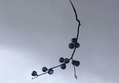  7GODS Georgina Jabuticaba Cascade by 7Gods Lighting