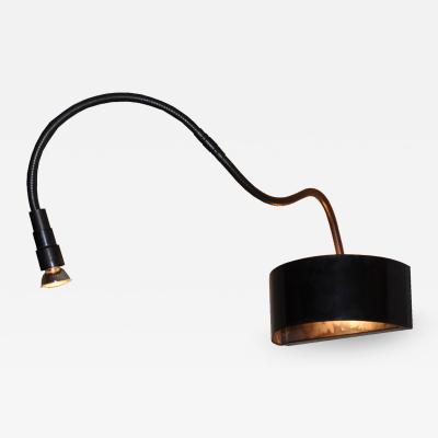  ADG Lighting 5291 Gooseneck Art Light ADG Lighting