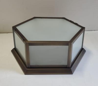  ADG Lighting Flush mount hexagon fixture