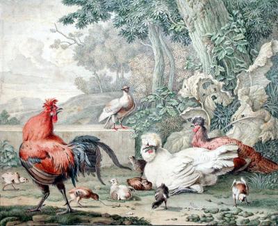  AERT SCHOUMAN AERT SCHOUMAN DUTCH 1710 1792 CHICKEN FOWL