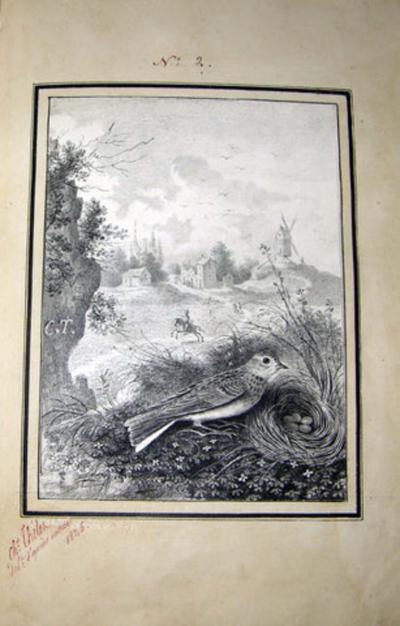  ANTOINE CHARLES THELOT OISEAUX DESSINES D APRES NATURE A LA PLUME 