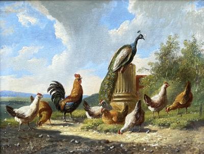  Albertus Verhoesen Summer landscape with rooster hens and peacock