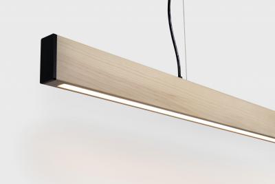  AlexAllen Studio AlexAllen Studio 2 x 4 Pendant 2013