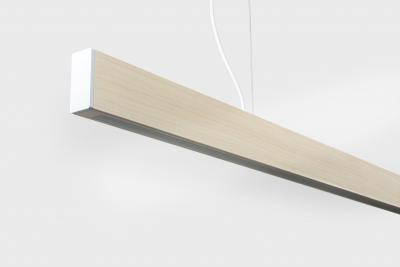  AlexAllen Studio AlexAllen Studio 2 x 4 Pendant 2013