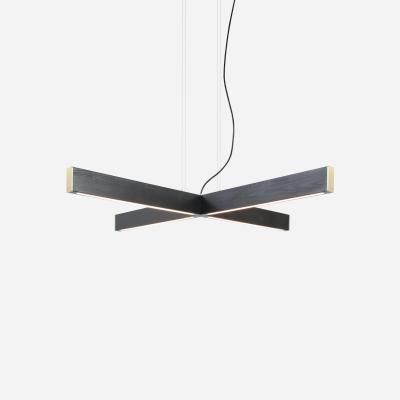  AlexAllen Studio AlexAllen Studio 2 x 4 Plus Pendant 2016