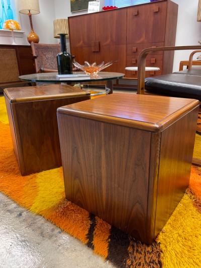  Altavista Lane Wooden cube table pair