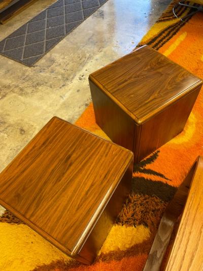  Altavista Lane Wooden cube table pair