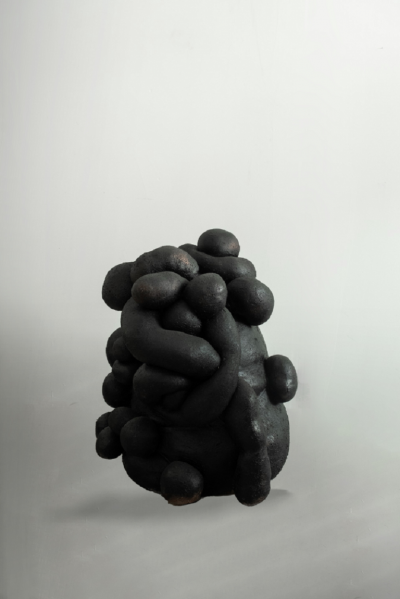  Arda Asena Envelopp dans une incertitude arbitraire Wrapped in Arbitrary Uncertainty