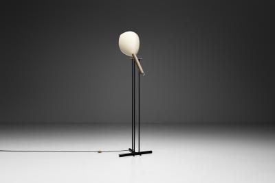  Arredoluce Angelo Lelii Model Televisione Floor Lamp for Arredoluce Italy 1956