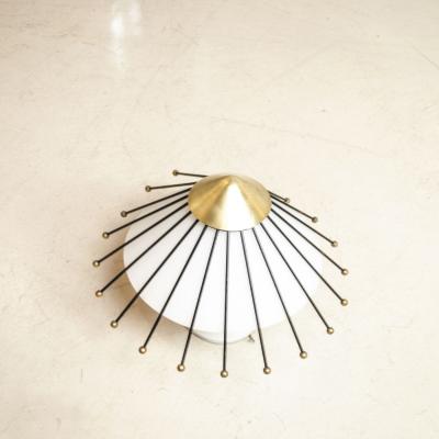  Arredoluce Ceiling mount Angelo Lelli Lelii 