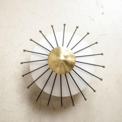  Arredoluce Ceiling mount Angelo Lelli Lelii 