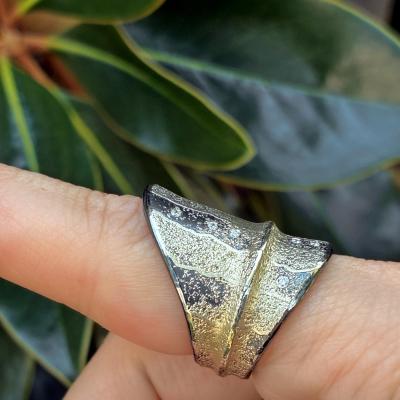  Atelier Zobel White Diamond Pure Gold Oxidized Silver Shield Ring Atelier Zobel 2025