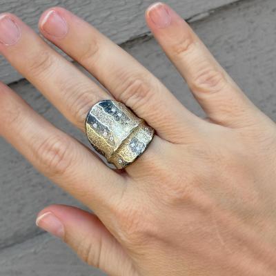  Atelier Zobel White Diamond Pure Gold Oxidized Silver Shield Ring Atelier Zobel 2025