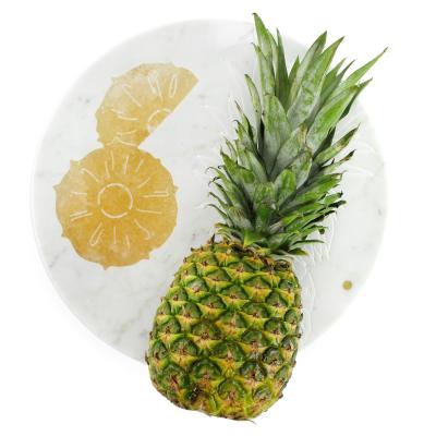  Barberini Gunnell Centerpiece Platters Serveware Carrara Marble Honey Onyx Collectible Design