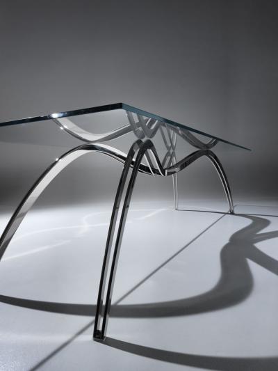 Barberini and Gunnell Spider Skeleton