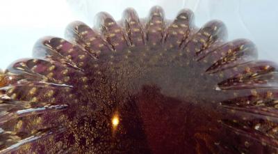  Barovier Toso 1970 Cup Murano Crystal Purple and Gold Signed Toso