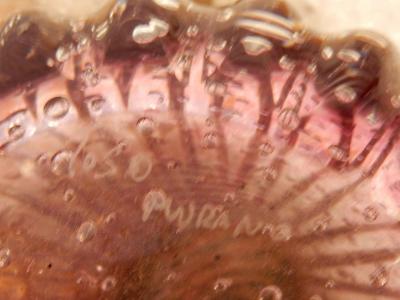  Barovier Toso 1970 Pair of Vases Or Similar Murano Crystal Pink and Gold Signed Toso