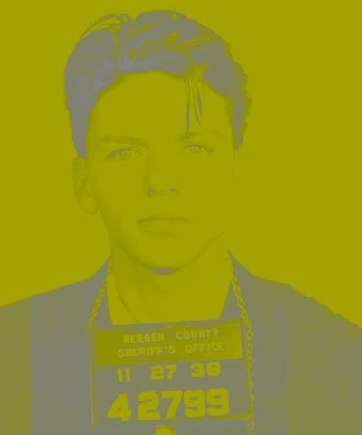  Batik Screen Print Idol