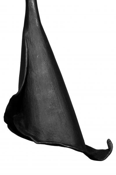  Benediko Calla Lily Light in Black Plaster Pair