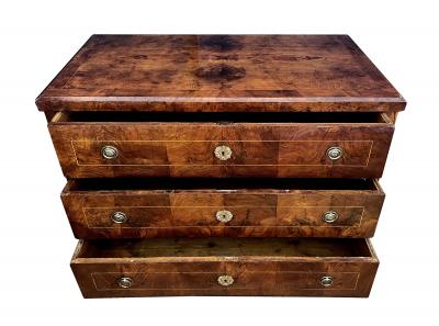 Biedermeier Austrian Biedermeier Mahogany Veneered Chest of Drawers