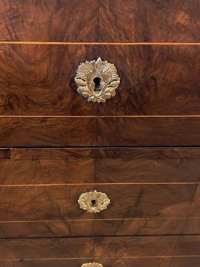  Biedermeier Austrian Biedermeier Mahogany Veneered Chest of Drawers