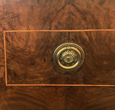  Biedermeier Austrian Biedermeier Mahogany Veneered Chest of Drawers