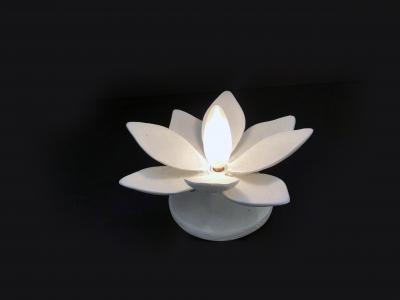  Bourgeois Boheme Atelier Pair of Vosges Sconces