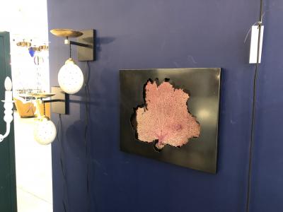  Bourgeois Boheme Atelier Sea Fan Mounted on Steel Frame