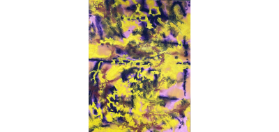  Carl A Alexander Yellow and Purple ca 1950 70s