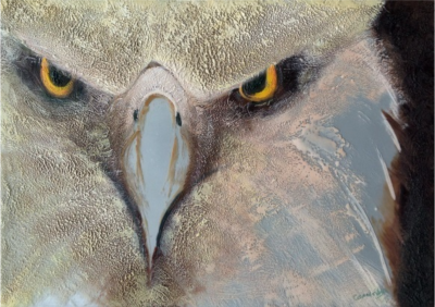  Carolyn Goodridge Eagle Eye