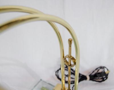  Casella Lighting Elegant Brass and Glass Arced Desk Lamp