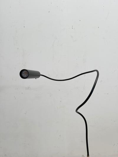  Catellani Smith Mid Century Modern Lucenera Floor Lamp by Catellani Smith