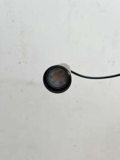  Catellani Smith Mid Century Modern Lucenera Floor Lamp by Catellani Smith