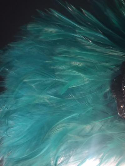  Chanel CHANEL EMERALD FEATHER HAT WITH SIGNATURE BLACK SEQUIN ROSE