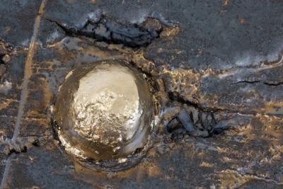  Chapter Verse PETER LANE Tripod leaf table