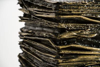  Chapter Verse Sarcomere Altars