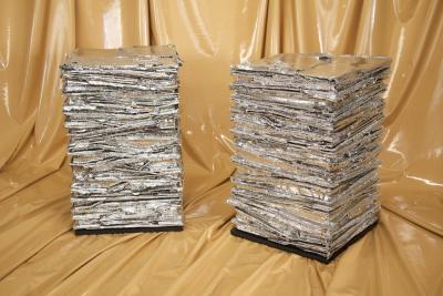  Chapter Verse Sarcomere Altars