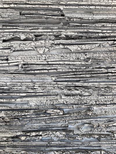  Chapter Verse Sarcomere Paravent