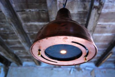  Chimera Watts Belle Iris pendant