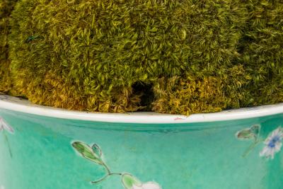  Chinese Porcelain Pair of Chinese Porcelain Cylindrical Planters Cachepots